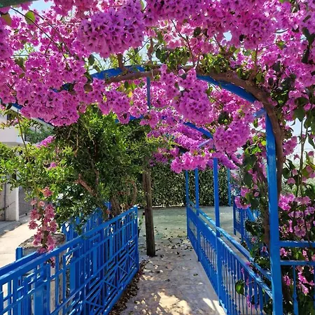 Summer By The Sea Tatil Evi *