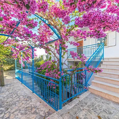 Prázdninový dům Summer By The Sea